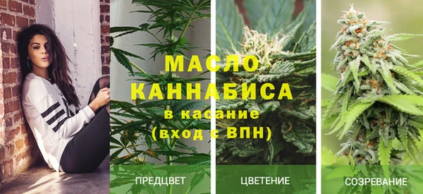 индика Алексеевка