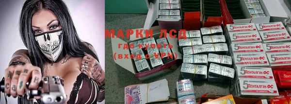 индика Алексеевка